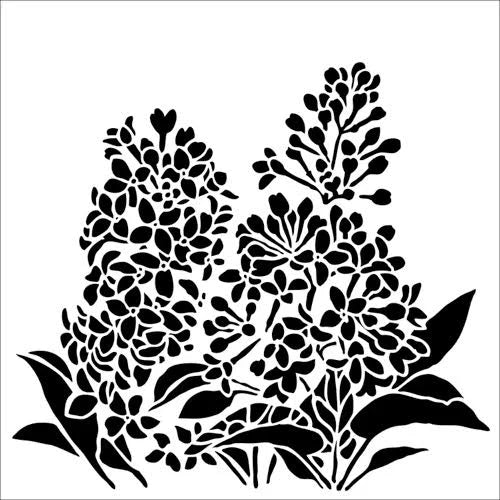 TCW913s Lilacs