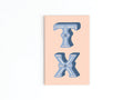 TX Refrigerator Magnet