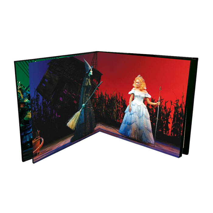 Various Artists: Wicked (20th Anniversary Edition/Ghostly Green Vinyl) 2LP 3